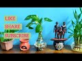 16.Money plant decoration idea in water|सिर्फ पाणी मे मनी प्लांट उगानेका सही तरीका#moneyplantinwater