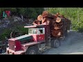 Dangerous Huge Timber Unloading Wood Truck Operator, Amazing Heavy Wood Logging Truck Driving Skill
