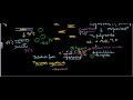 Taq Polymerase