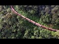 TREM DA RUMO SUBINDO A SERRA DO MAR - 5 LOCOMOTIVAS G22UB - 4 PONTES E RABO DO MACACO | 4k DRONE