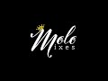 MOLO MIXES AD | Nikon D7500 & Sigma 18-35