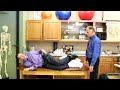 10 Surprising Things To Avoid With Herniated Disc & Sciatica