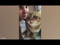 Funny DOGS and CATS videos 2024 🤣🐶 Best Funniest Animal Videos