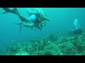 Scuba Dive 1 Negril Jamaica 2016