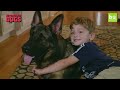 Loyal German Shepherd Helps Family With The Chores: SUPERPOWER DOGS