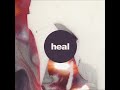 Heal // Discovery Project: Nocturnal Wonderland 2013