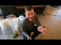 Traded our RV for a Puppy??? // Today is an Adventure Day Update [EP 101]