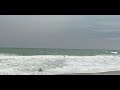 surfing satellite beach(1)
