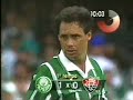 Palmeiras 2 x 0 Vitória 2º Final Brasileirão 1993 Jogo Completo Palmeiras Campeão)