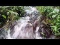 1 Hours Water Flowing Over Rocks - Stream Sounds for Sleeping - Relaxing Nature Video