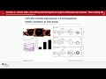 Non coding RNA targeting therapies