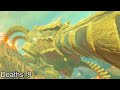 Finishing Breath of the Wild..   (Wii U)