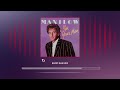 Barry Manilow - I'm Your Man (Radio Edit) - Official Visualizer