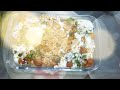 Special Channa Chaat Recipe | Fatima Funzilla 💗✨🌙