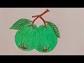 How to draw guava #drawing #art #satisfying #guavafruits