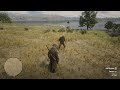 RDR2 The Bald Man Boogies in a Field