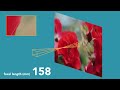 animated focal length, field of view acceleration