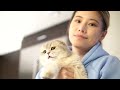 A day in cat life | What's it like to have a scottishfold cat | cuddly cat | What cat does all day