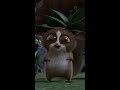 Mort from Madagascar dies caught in 4k