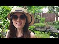 Tropical Garden Tour with 8 Gardening Tips | Heliconias, Ferns, Herbs, Fish Pond and More!