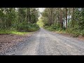 How To Relax With Nature Sounds: Ourimbah State Forest