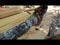 10 KUBIK: OLAH POHON SUKUN BESAR  menggunakan chainsaw still070 part 1.