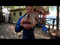 EPIC SPEARFISHING AND DIVING SAMOA TROPICAL ISLAND