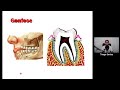 Anatomia do Sistema Articular #1