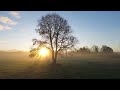 Relaxing Music For Stress Relief | Calm Music | Meditative Music | Ireland | Studying Playlist