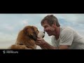 A Dog's Purpose (2017) - Bailey Comes Home Scene (10/10) | Movieclips