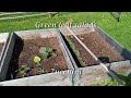 April-May Garden (Time flies, It's time for transplanting/planting tomatoes, corn, cabbage and more)