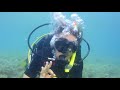 Scuba Diving in Greece || 🇬🇷 North Evia Island Greece