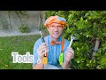 Detective Blippi - Educational Videos for Kids