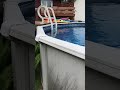 Stopping birds from pooping in your pool