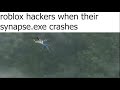 roblox hackers