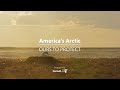 America's Arctic - Tundra Swan