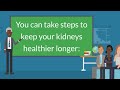 Chronic Kidney Disease - Overview, Causes, Diagnosis, Treatment & How to Help You Kidneys