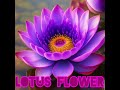 Lotus Flower ( Official Music Video )