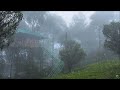 10 Hours of Rain Without Thunder to Sleep - Rain for Psychophysical Relaxation, Sleep Cure