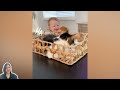 Funny Babies Playing with Dogs and Cats Compilation || Cool Peachy 🍑