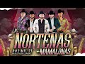 Las Norteñas Más Mamalonas del 2021 | By Dj Alfred | EXITOS 2021 | La Fiera, Rienda Real, La Fe...