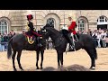 TROOPERS ARE BACK! ‘THE LIFE GUARDS’ RECLAIM CONTROL OF HORSE GUARDS PARADE - MUST WATCH!