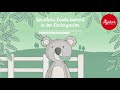 Der kleine Koala kommt in den Kindergarten - eine Hörgeschichte für Kinder ab 2 Jahren