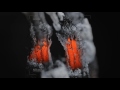 ASMR Triggers Visual 🔥 Macro Photography of Burning Incense