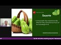 Health Benefits of Eating Sayote: Nakakatulong ba ito sa Kanser at High blood?
