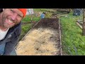 Asparagus Bed Winter Maintenance and Mulch Food Forest Olympic Peninsula Zone 8B