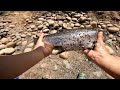 Lower King's River| Nuv Ntses| Trout fishing| 6/20/2024