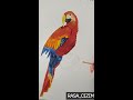 Akrilik Boyama- Papağan /Acrylic Painting -parrot