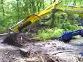 spider destroys beaver dam