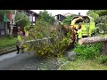 Dangerous Fast Huge Tree Chipper Wood Shredder Machines, Amazing Wood Crusher Whole Tree Destroyer